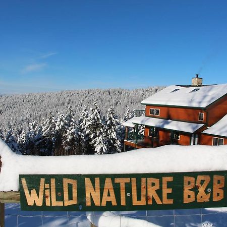 Wild Nature B&B Kelowna Exterior photo