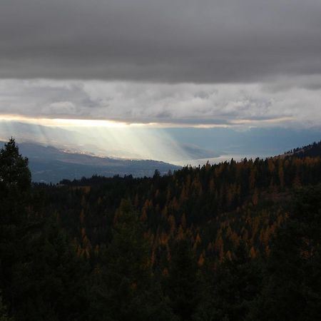 Wild Nature B&B Kelowna Exterior photo